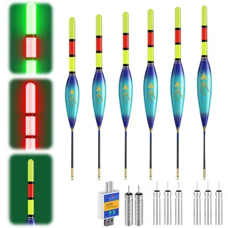 Hegawleo 6 Stück Led Posen Angeln Mit CR425 Batterie Ladegerät, Angelposen Mit Gravity Sensing Farbwechsel Und Kupferring, Angel Zubehör Zum Meeresfischerei Angeln Am See (4g+5g+6g+7g+8g+9g)