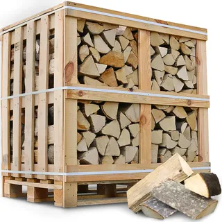 holz4home® Brennholz Hainbuche Kammergetrocknet 25 cm 1RM/ 1,6 SRM I 450-500 kg auf Palette I Ideal als Holz für Ofen Kamin BBQ I optimales Feuerholz Buchenholz Buche