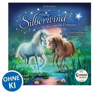 Silberwind, das weiße Einhorn (Band 4) - Sturmwolkes Geheimnis