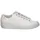 white 40,5