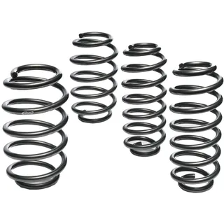 Eibach Fahrwerksatz, Federn E10-75-030-04-22