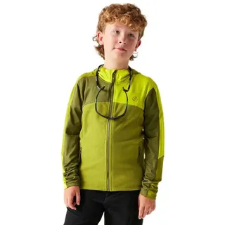 Dare 2b Dare2b Thriving Iv Fleece Mit Durchgehendem Reißverschluss - Golden Cypress - 11-12 Jahre