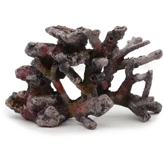 Croci Amtra A8011081 Reef Rock Branch SM 2 Harz