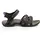 black/grey 41