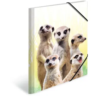 A3 erdmännchentruppe