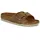 schmal cognac 36