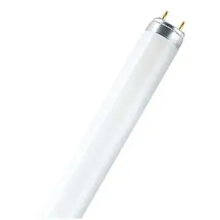 Osram Lumilux T8 L 16W/840 G13