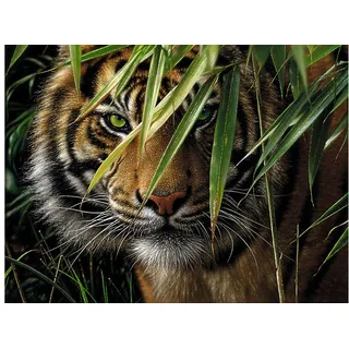 MAMMUT Spiel und Geschenk Malen nach Zahlen Artists Collection Tiger 40 x 30 cm