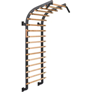 Sport-Thieme Sprossenwand X