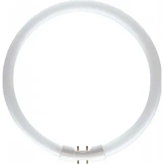 Philips Master TL5 Circular 22W/840 2GX13