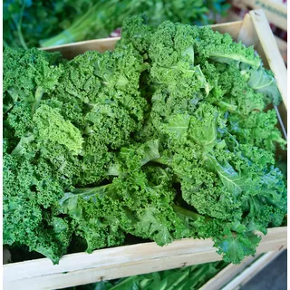 Frischekiste Grünkohl 1 kg