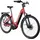 28 Zoll RH 48 cm Wave rot