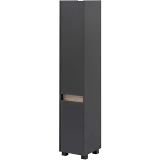 Schildmeyer Cosmo Hochschrank 30,2 x 33,0 x 164,5 cm Anthrazit Holz
