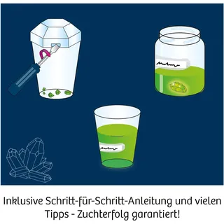 Kosmos Überraschungs-Kristalle selbst züchten