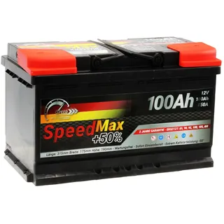 Endurance L4100 Max 100Ah 12V
