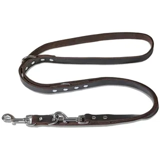 Freudentier Hundeleine Leder 2m - Lederleine verstellbar - Führleine aus Fettleder für kleine, mittelgroße & große Hunde - Alsterufer Kollektion (Chocolate, 20mm breit)