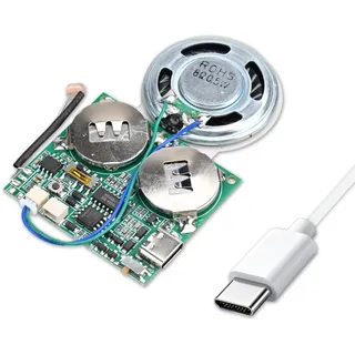 Lichtsensor Sound Modul MP3 Sound Chip Modul, mit 8 MB Speicher Typ-C USB Lautsprecher, für DIY Festival Grußkarte Kreative Geschenke Modelle Bastelarbeiten