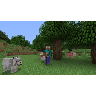 Sony Minecraft (PS Vita)