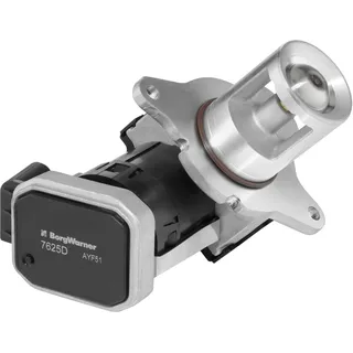 BorgWarner (Wahler) Borgwarner AGR-Ventil elektrisch, mit Dichtung