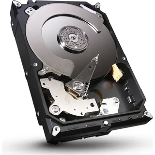 1 TB 3,5" ST1000DM003