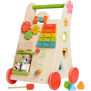 EverEarth Activity Walker