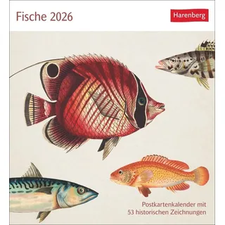 Harenberg Fische Postkartenkalender 2027 - Postkartenkalender mit 53 historischen Zeichnungen