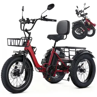 Elektro Dreirad für Erwachsene faltbares E-Trike Tiefeinsteiger 20x4 Zoll Fat Tire 250W Motor 65 Nm 48V 15,6Ah Akku 20 km/h mit Differenzial & Parkbremse Front- & Heckkorb