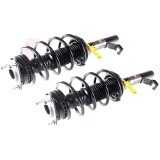 gh Federbein Komplett Federbein