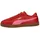 Candy Apple / Magic Rose 42