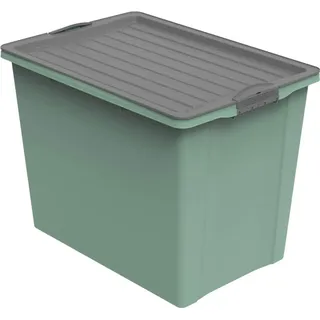 Rotho Aufbewahrungsbox mit Rollen Kunststoff (PP recycelt) BPA-frei, grün/anthrazit, A3/70l 57,0 x 39.5 x 43.5 cm)