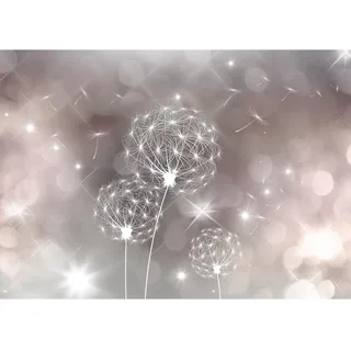 Runa Art Fototapete Pusteblumen Abstrakt Modern Vlies Wohnzimmer Schlafzimmer - Made in Germany - 308 x 220 cm Grau Beige 9174010a