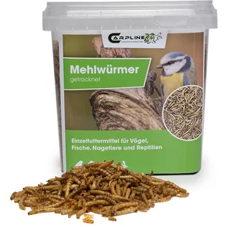 Carpline24 Getrocknete Mehlwürmer 1000 ml - Proteinreiche Insekten als Futter für Reptilien, Nager, Igel & Fische, Vogelfutter, Winterfutter