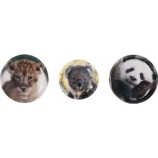 School-Mood Patchies Schulranzen-Zubehör 3er Patchy-Set Baby Animals mehrfarbig - Bunt