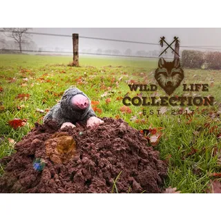 Wild Life Collection Plüsch-Spielzeug für Hunde mit Wildhund