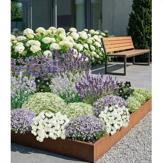 BALDUR Garten 19er Bienenfreundliches Staudenbeet, Pflanzen im 9x9 cm-Topf, super insektenfreundlich, wunderschön stimmiges Set, Blütenpracht von Frühling bis Herbst, Lila und Weiß