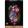 Blumen an der Wand 11503