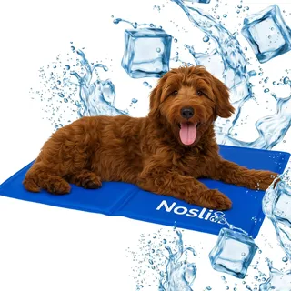 Nosli Kühlmatte für Hunde, Katzen & Menschen (50x65cm) • Selbstkühlende Hundematte mit Gel • Gel-Kühldecke Hund • Matte für Haustiere & Mensch
