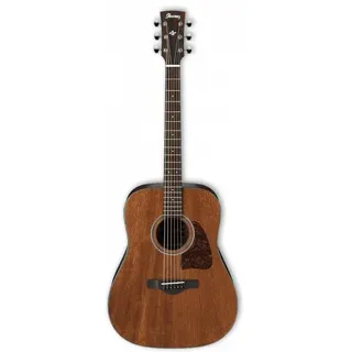 IBANEZ AW54-OPN Open Pore Natural