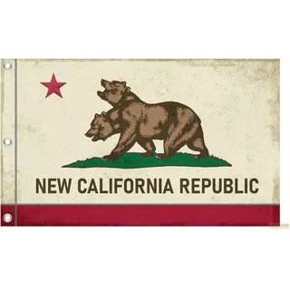 devplus Fallout Canvas Banner NCR