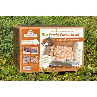 Bio Steinchampignon-Pilzzuchtset