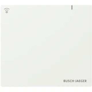 Busch-Jaeger SAP.13-WL 300Mbps Weiß 2CKA006200A0967