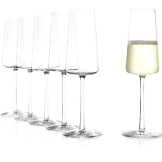 Stölzle Power Champagnerglas 0,24 l 6er Set