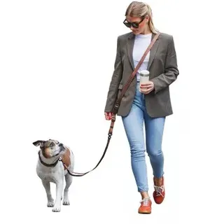 Freudentier UrbanFlow Umhängeleine, Hundeleine 3m braun