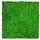 52 x 52 cm rich green
