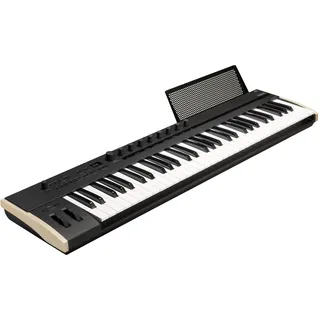 Korg Keystage 61
