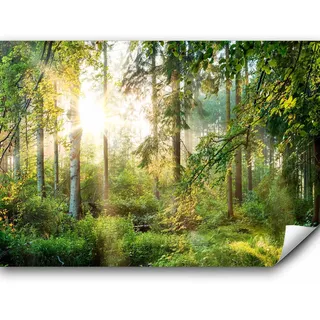 murando Fototapete selbstklebend Wald 490x350cm - Foto Tapete Tapetenfolie Möbelfolie Wandverkleidung Wandtapete Motivtapeten Bildtapete Wohnzimmer 3d Effekt Modern Landschaft Natur Sonne Grün Bäume