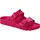 beetroot purple 41