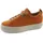 orange 38,5