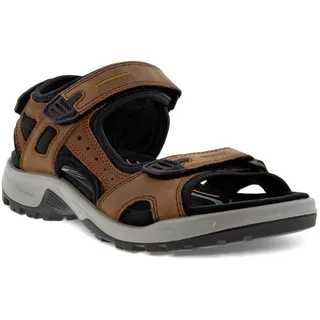 ECCO Offroad Herren espresso/cocoa 40