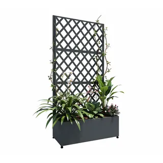 Westmann Dekora 7 90 x 43 x 184 cm Anthrazit